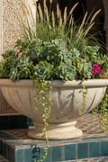 Basket Planter
