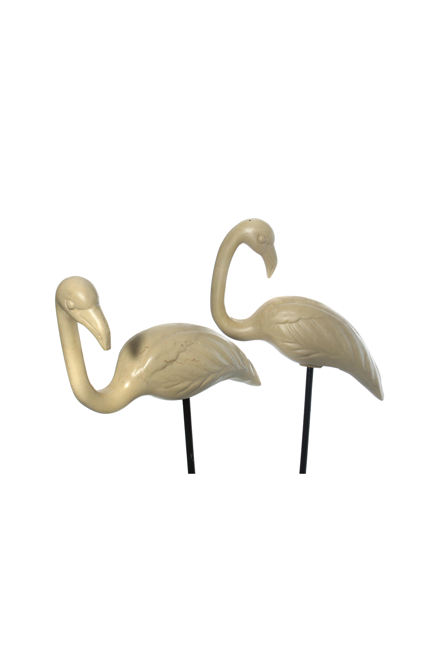 Flamingo L
