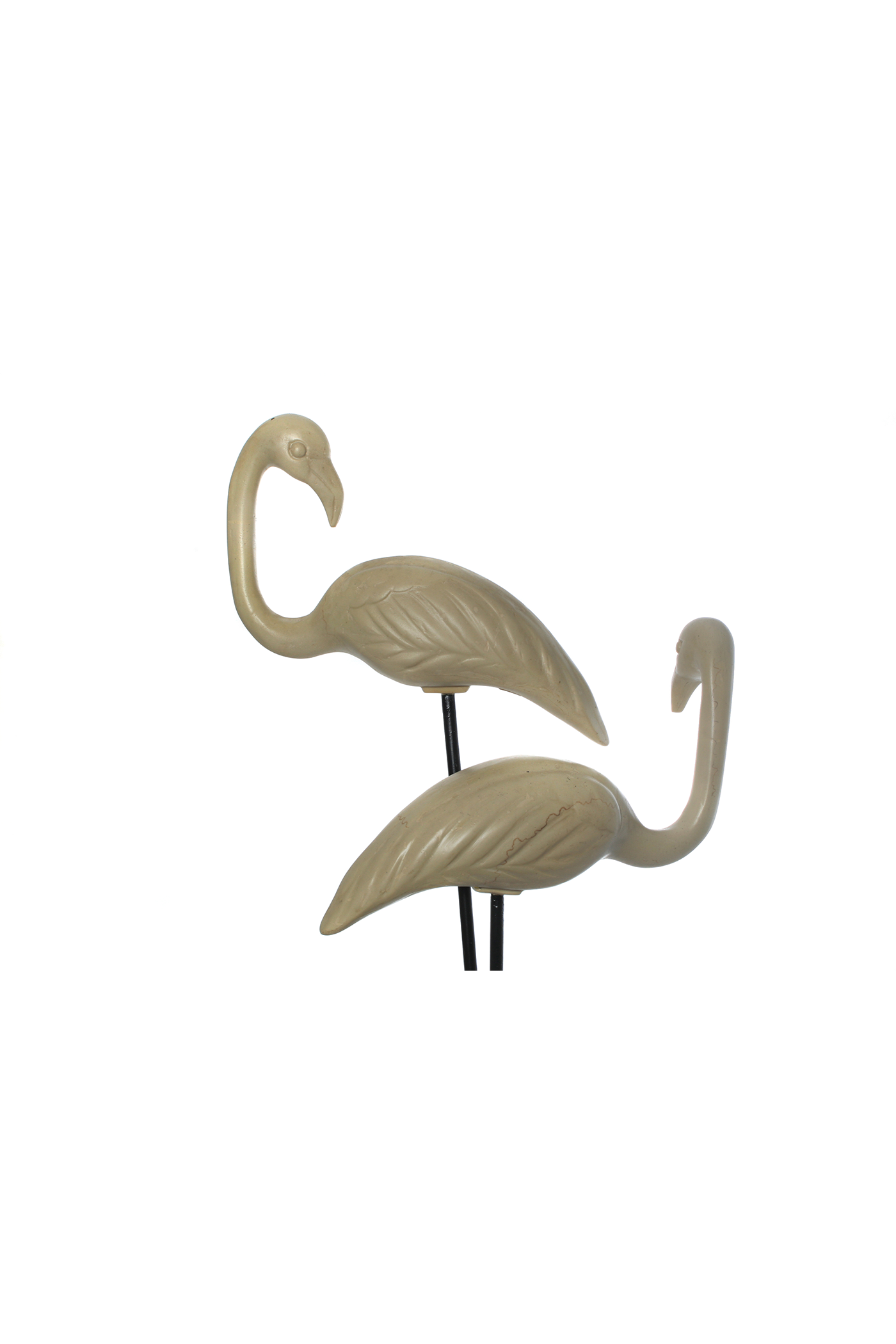 Flamingo L