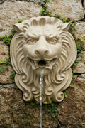 Lion Spout L