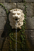 Lion Spout S