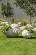 Shell Planter B