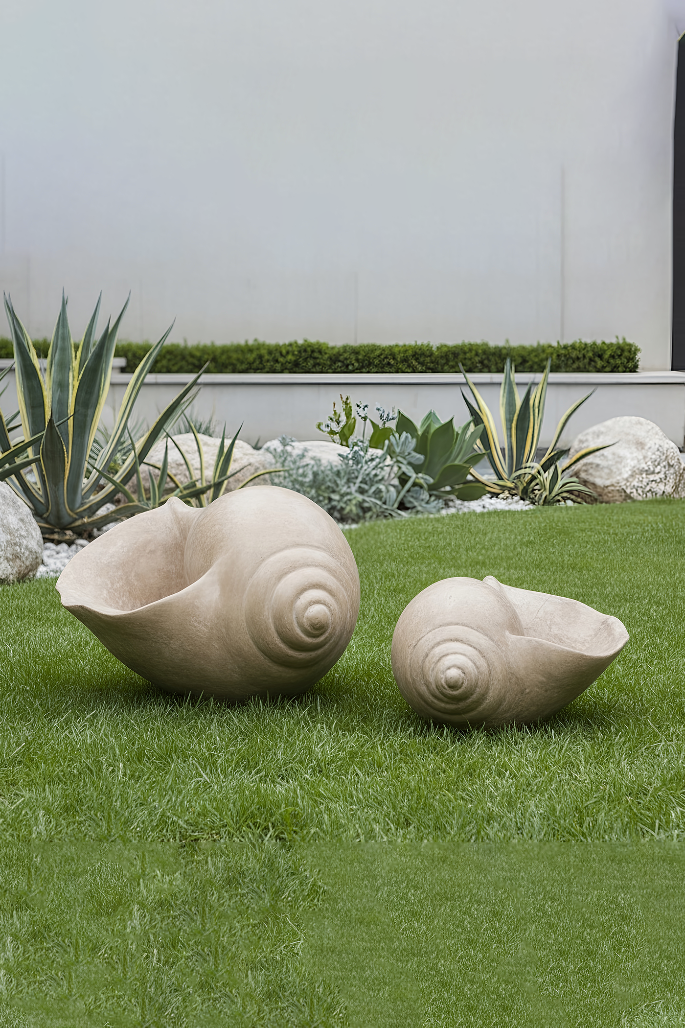 Shell Planter S