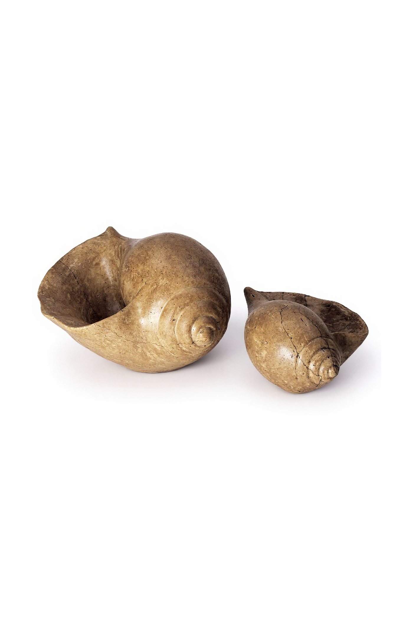 Shell Planter S