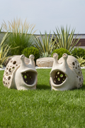 Laughing Snail B