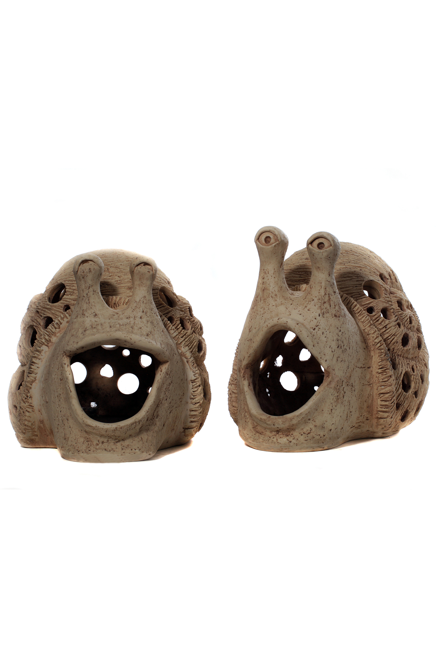 Laughing Snail A