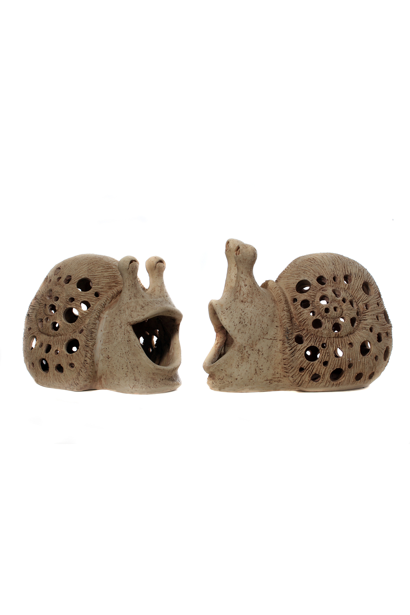 Laughing Snail A