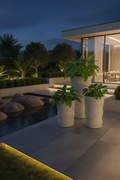Waves Planter L